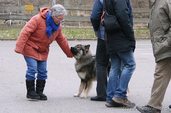 (Foto Goslar) Koerung Benno_14.03.2015_IMG_6785.png